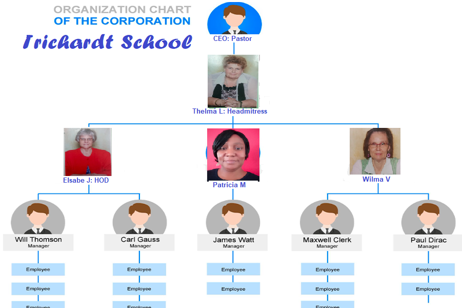 organisational chart