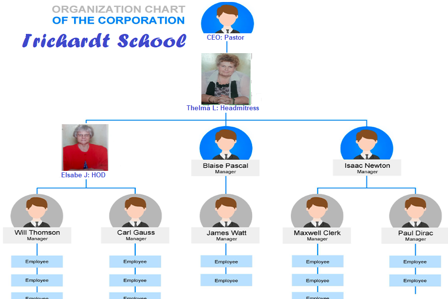 organisational chart